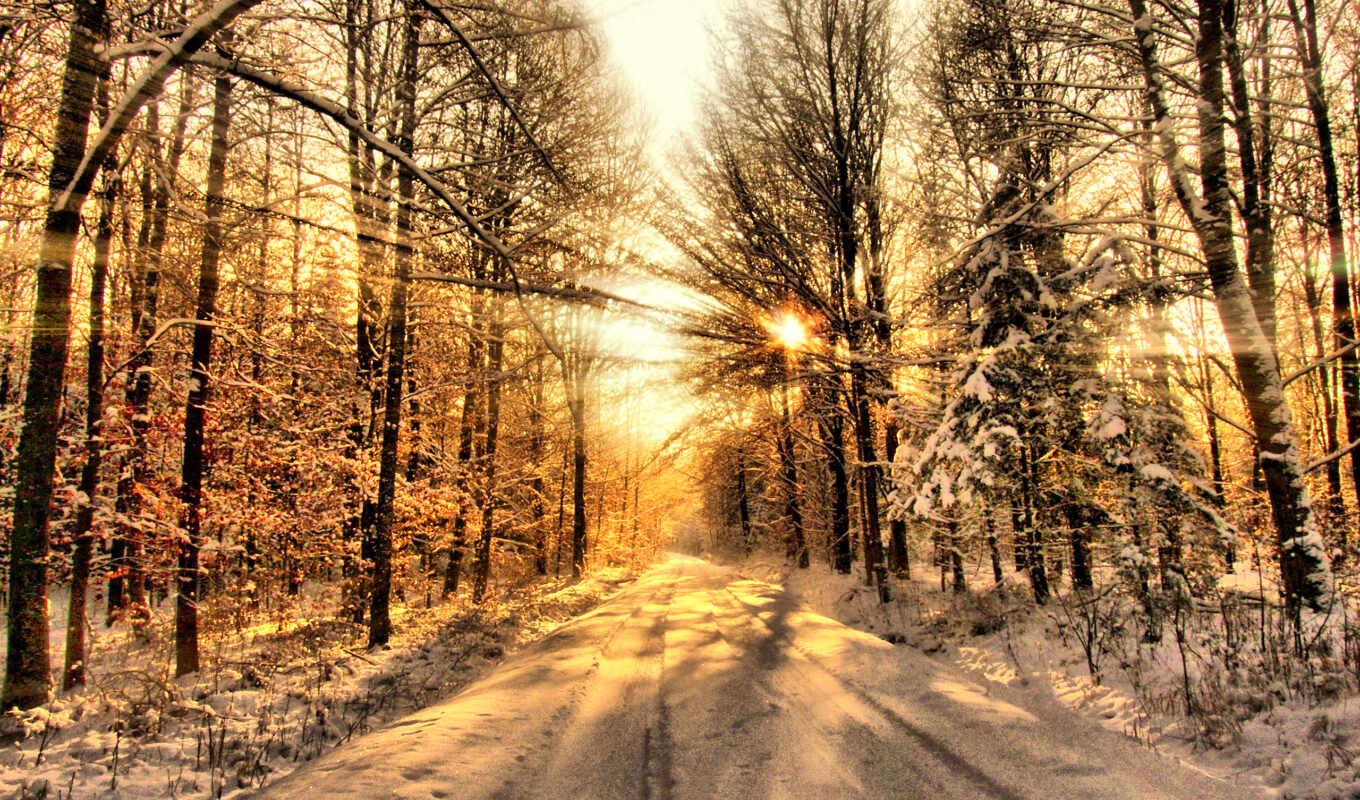 sun, закат, winter, лес, лесу, rays, небе, зимнем