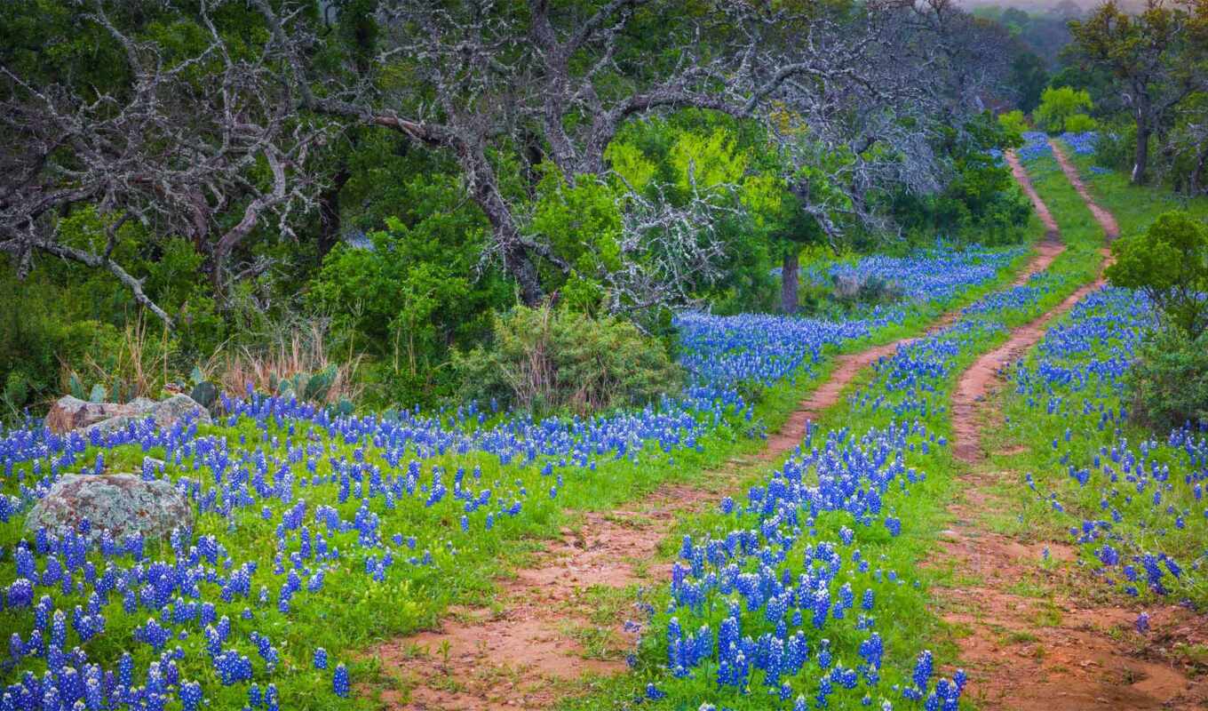country, hill, texas