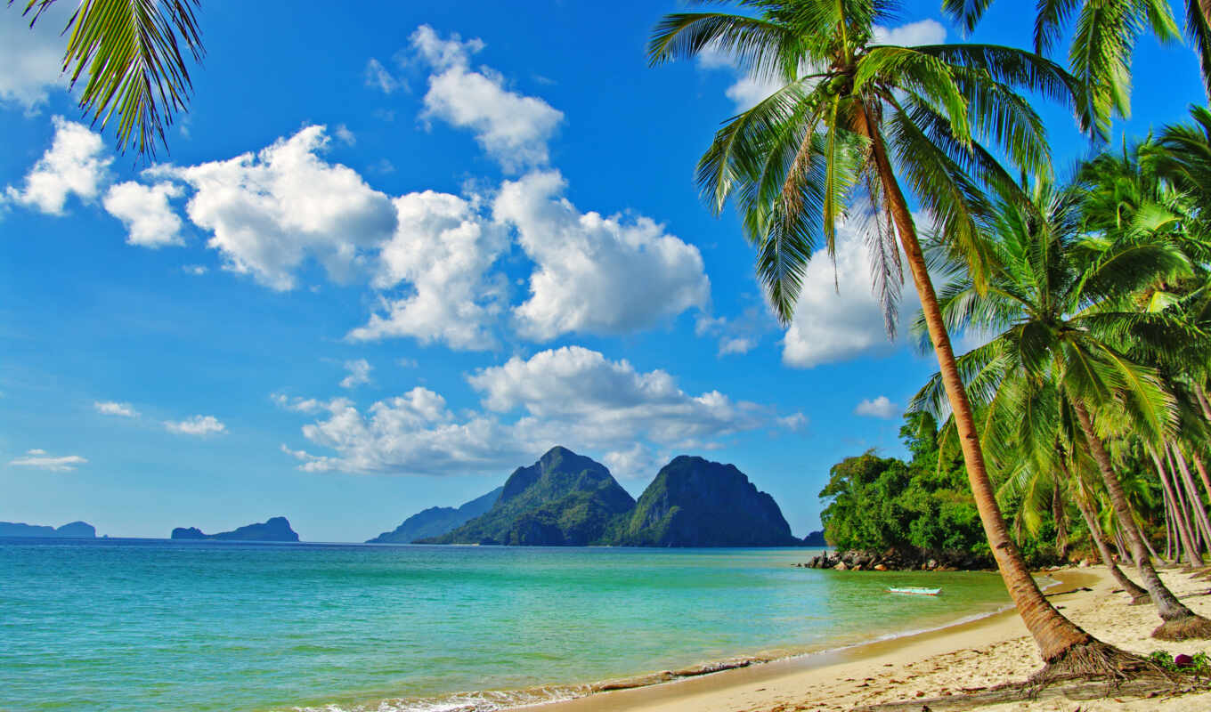 nature, sky, beach, sea, palm trees, ocean, rest, spa, tropics, mountains, photo wallpapers