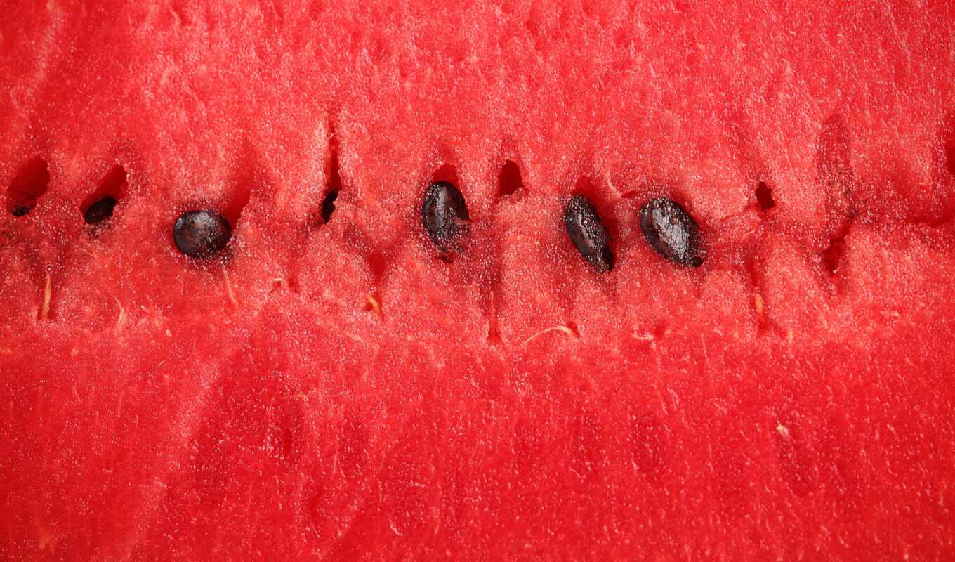 meal, texture, author, quickly, right, watermelon, beautifully, pulp, slices