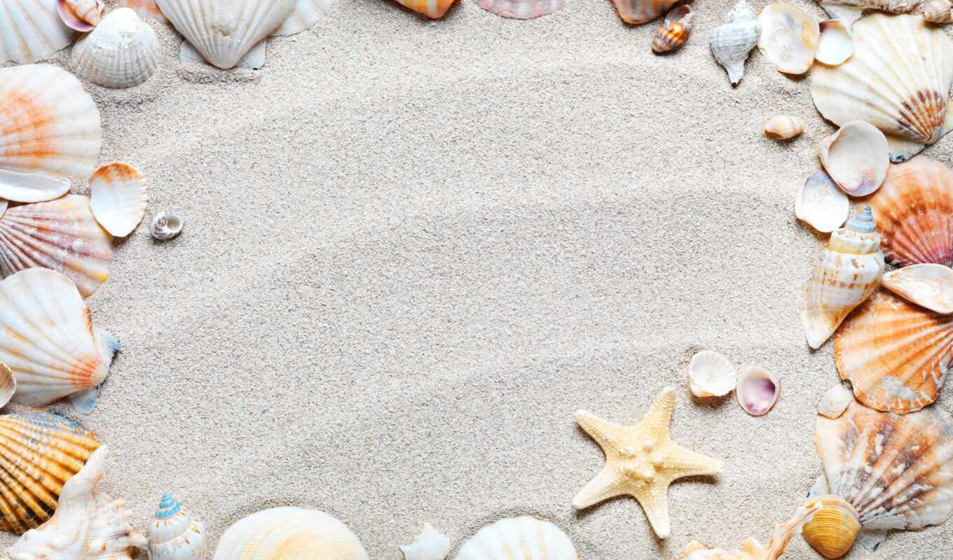 пляж, песок, рамочка, ta, amazon, ft, seashell, murah, lazada, csfoto, pinggang