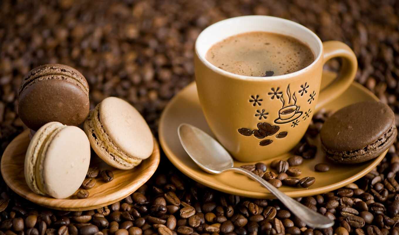 coffee, genus, morning