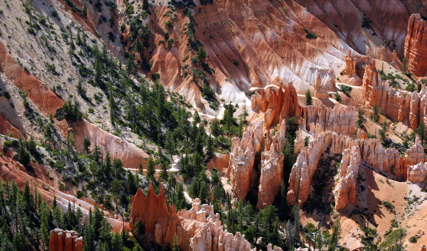 nature, beautiful, rock, park, national, canyon, bryce