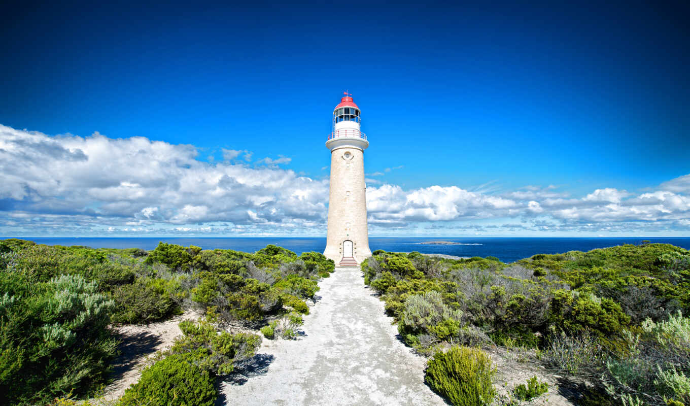 природа, австралия, lighthouse, остров, ocean, побережье, kangaroo