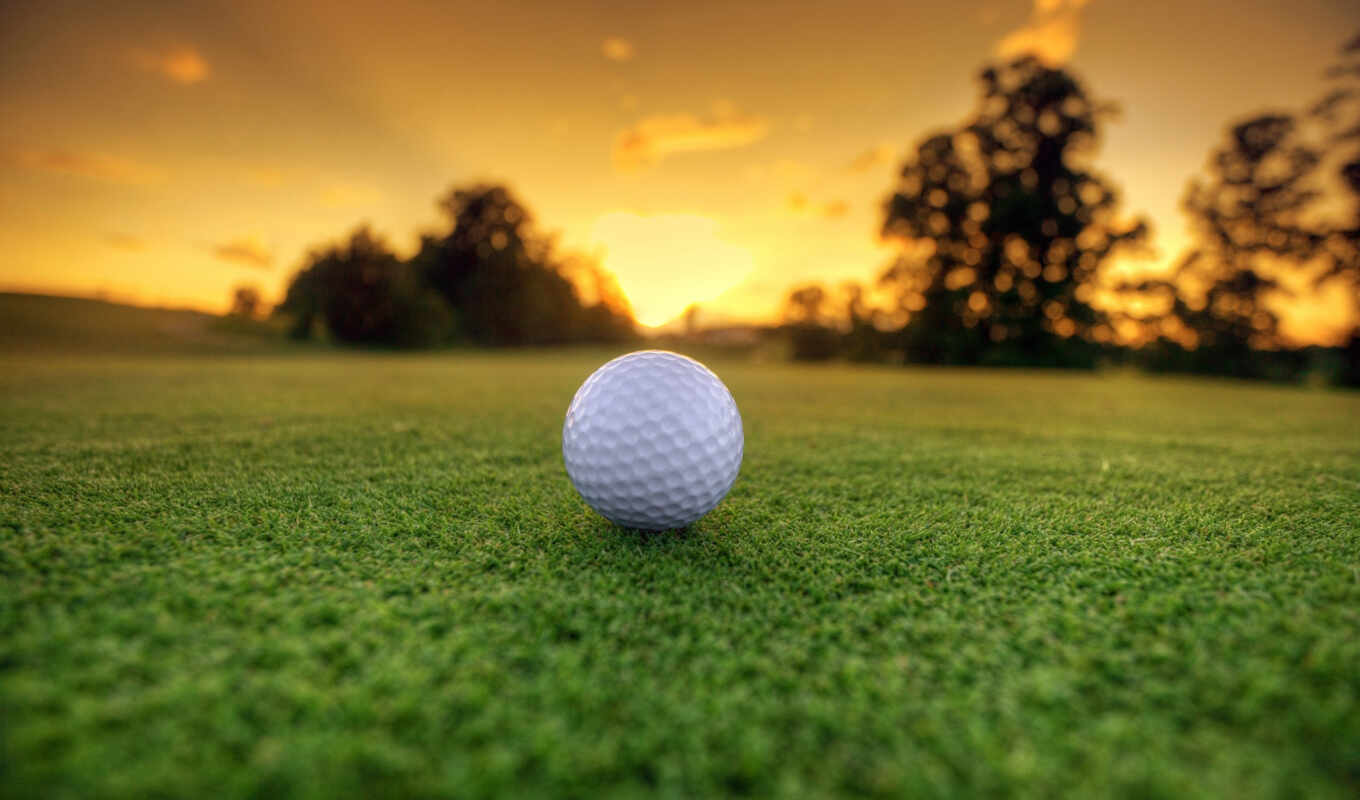 desktop, free, background, grass, tee, golf, ball