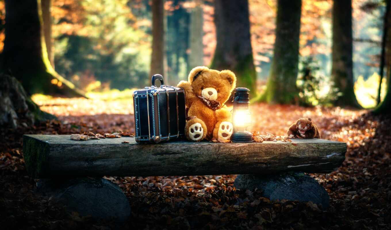 pictures, cute, sad, bear, bears, toy, teddy, a loner, bear