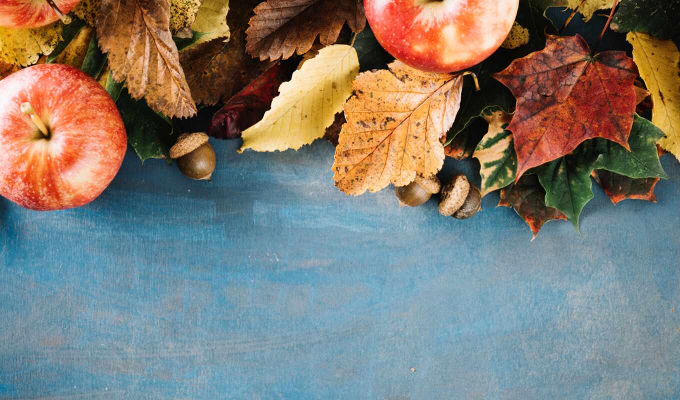 blue, еще, осень, цена, life, detail, leaf, spas, прогноз погоды, заготовка, zahvala