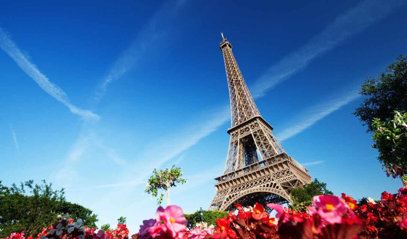 цветы, architecture, франция, париж, башня, eiffel