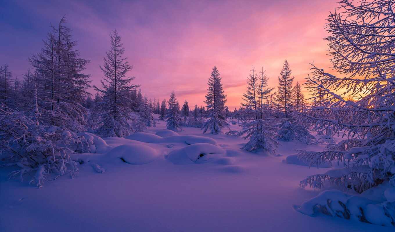 nature, sunset, snow, winter, evening