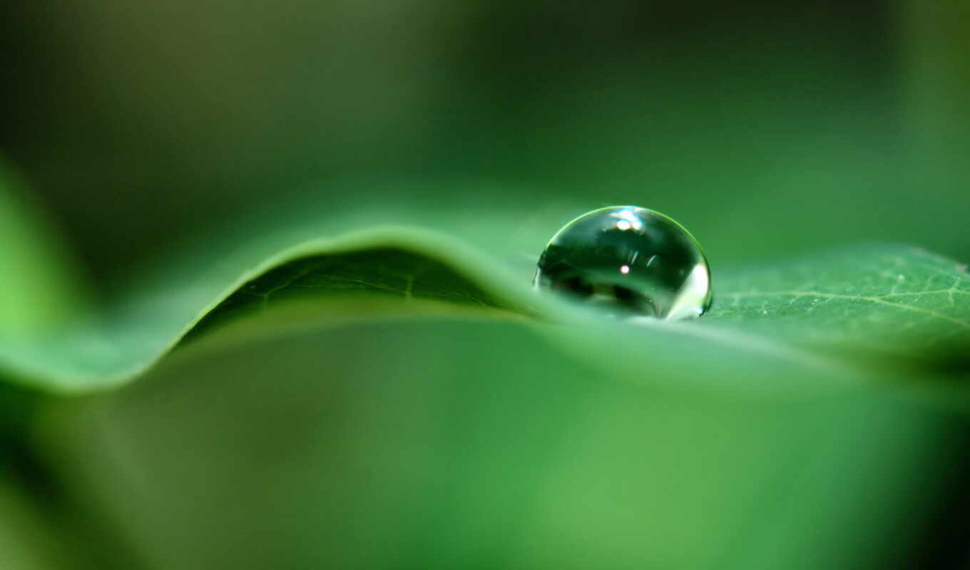 природа, drop, ipad, water, photography, drops, leaf