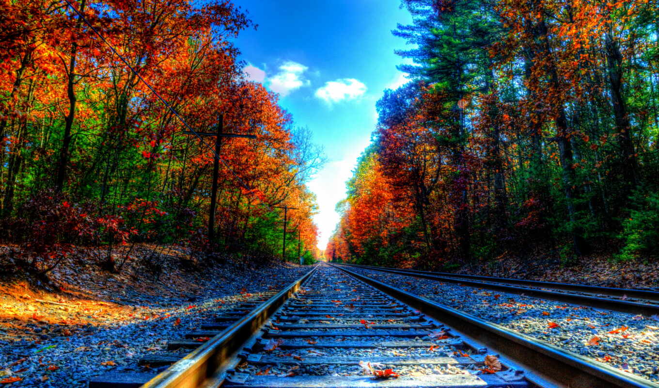 road, autumn, foliage, trees, iron, rails, sleepers