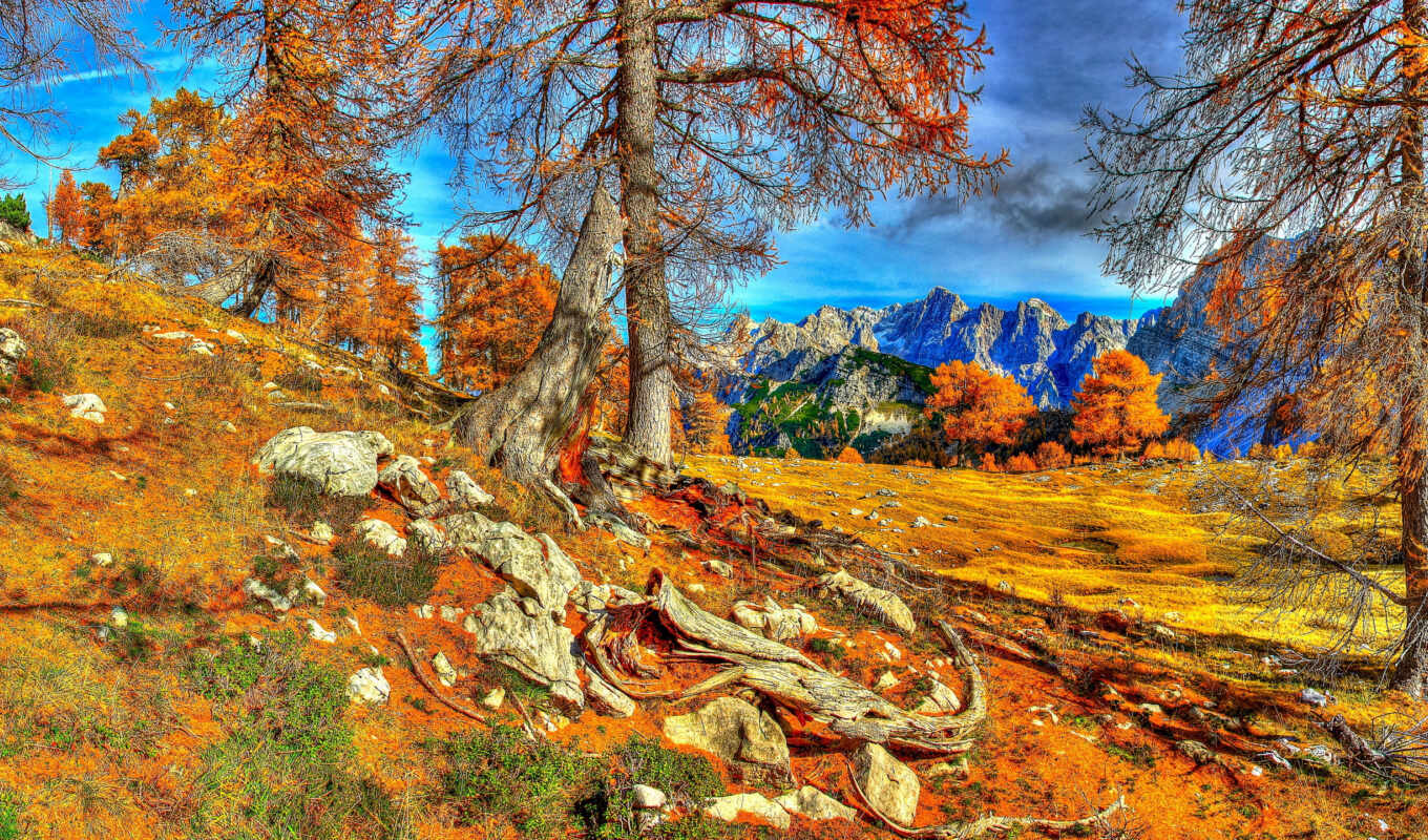 природа, картинку, online, осень, hdr, trees, hdri, puzzle, slovenia, горы, краньска
