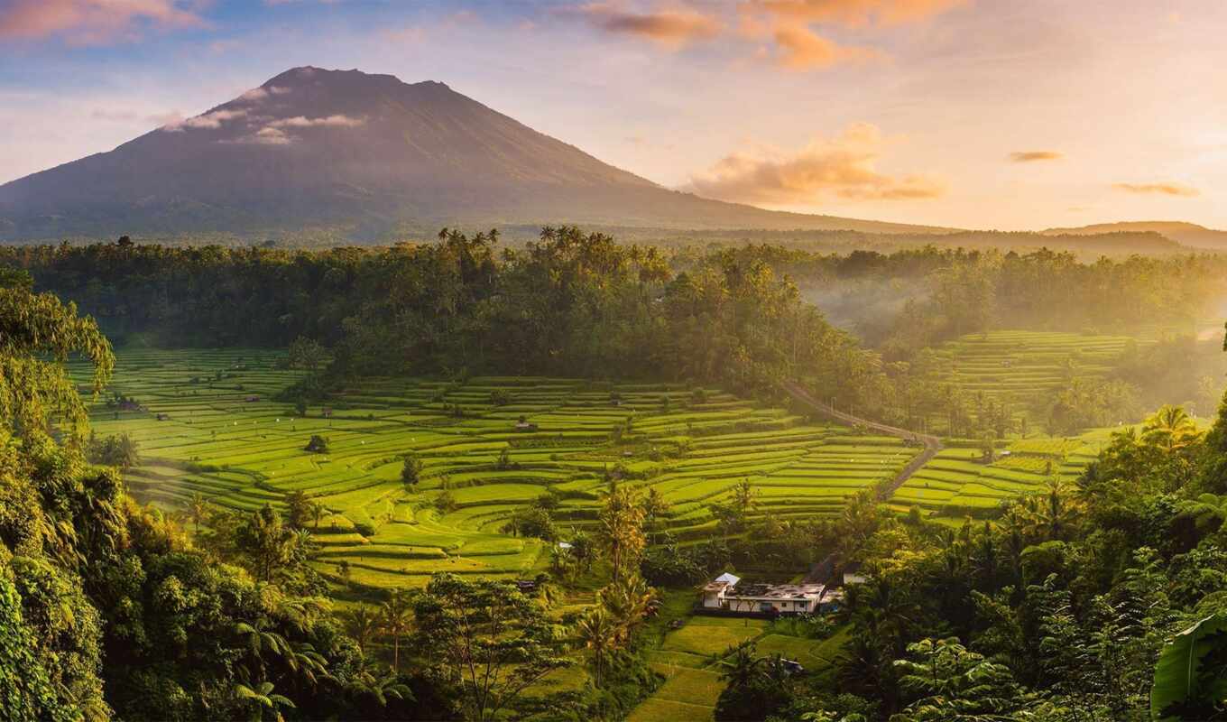 summer, sunset, field, rice, bali, valley, mount, indonesia, aging, sideman