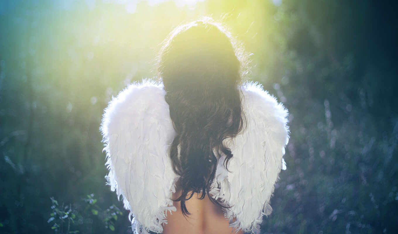 девушка, трава, сидит, angel, спина, крыльями, devushki, крылья, размытость