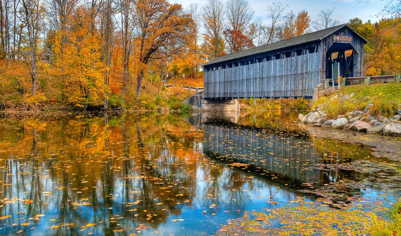 природа, мост, осень