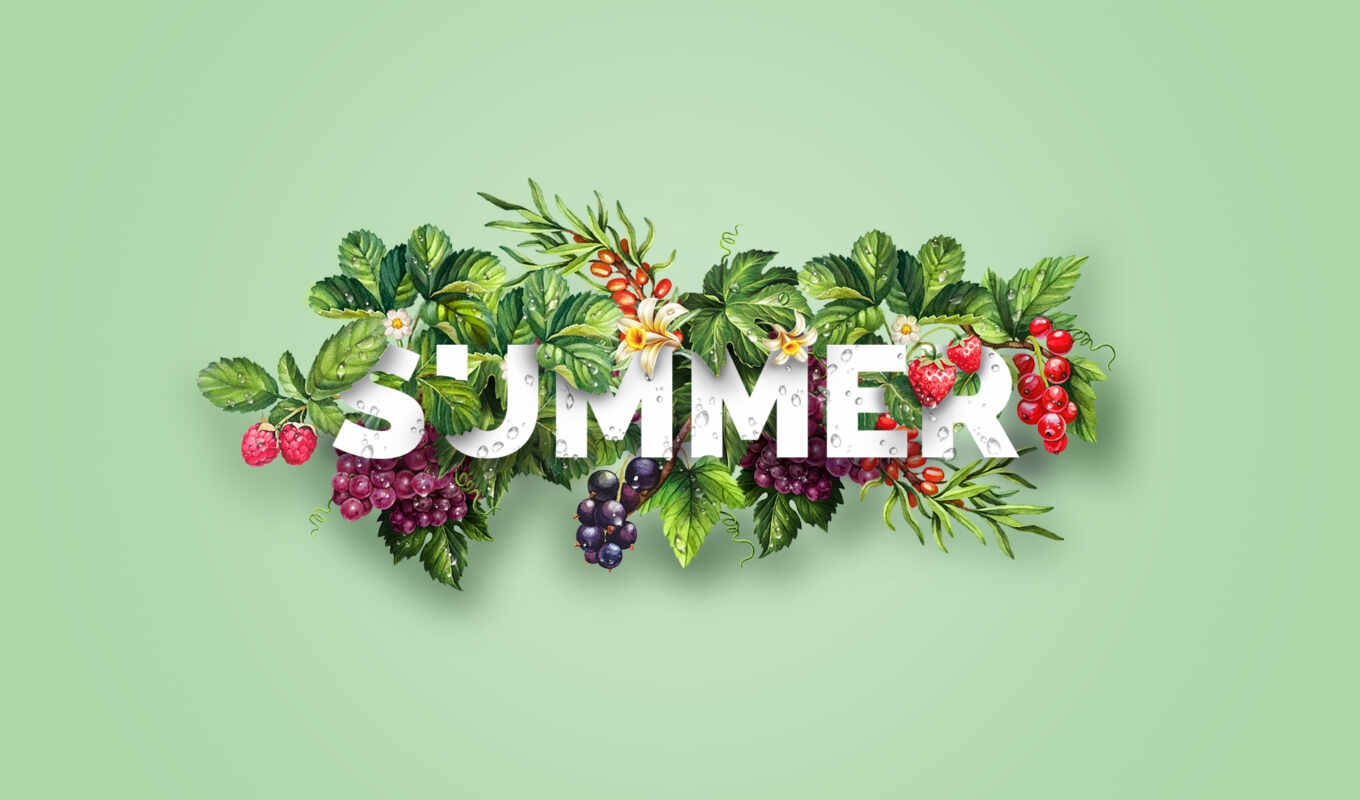цветы, summer, design, малина, фоны, goodfon, ягоды, каркар