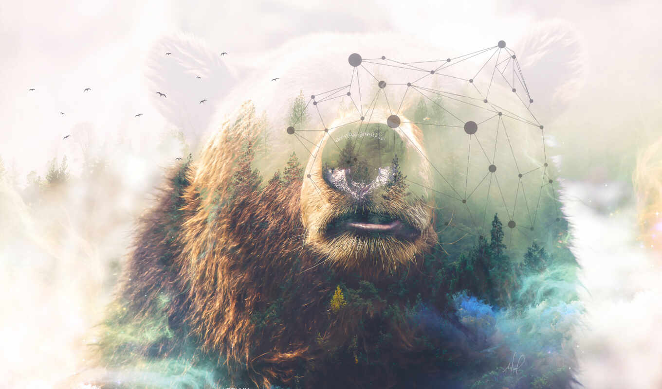 креатив, лес, медведь, double, resolutions, exposure, grizzly