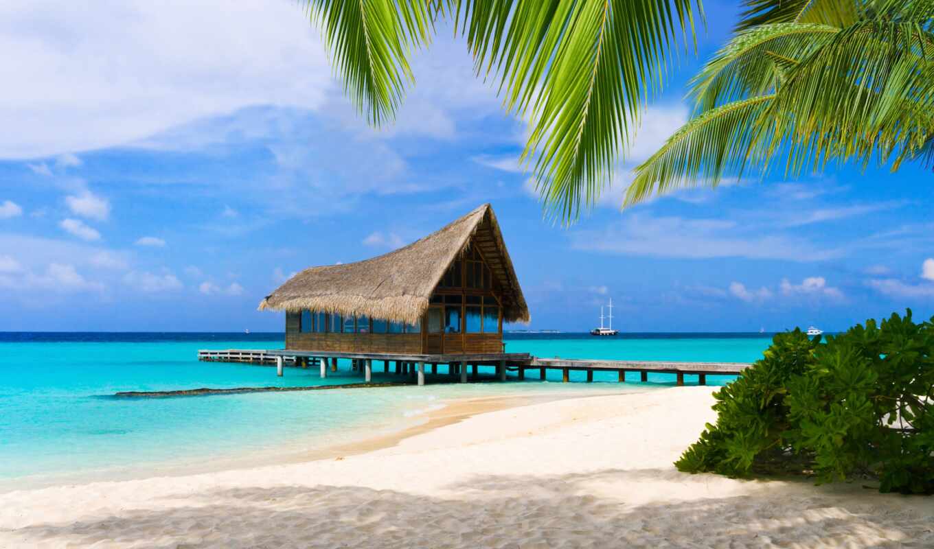 beach, sand, palm trees, oboi, maldives, tours, tropics, maldives, tochka, bahama, adalar