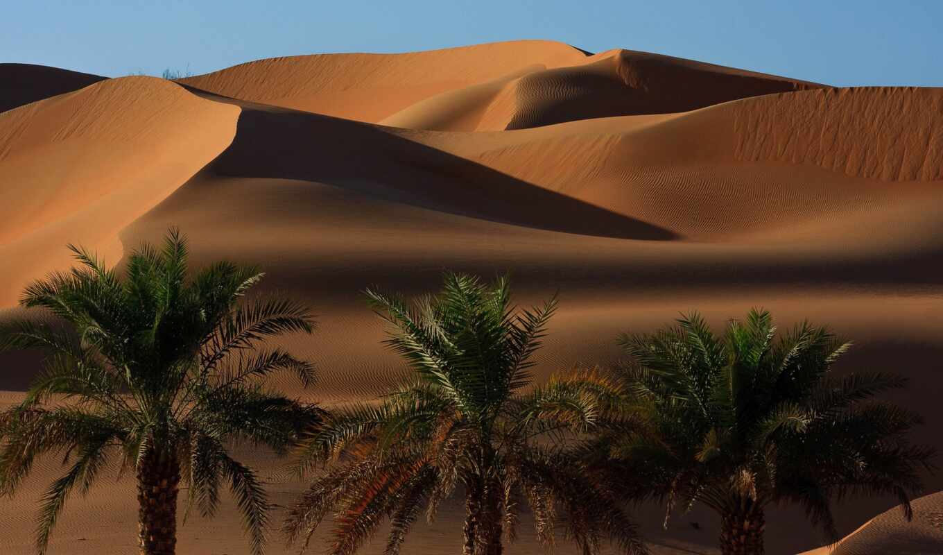 nature, category, home, www, desert, mm, be, resources