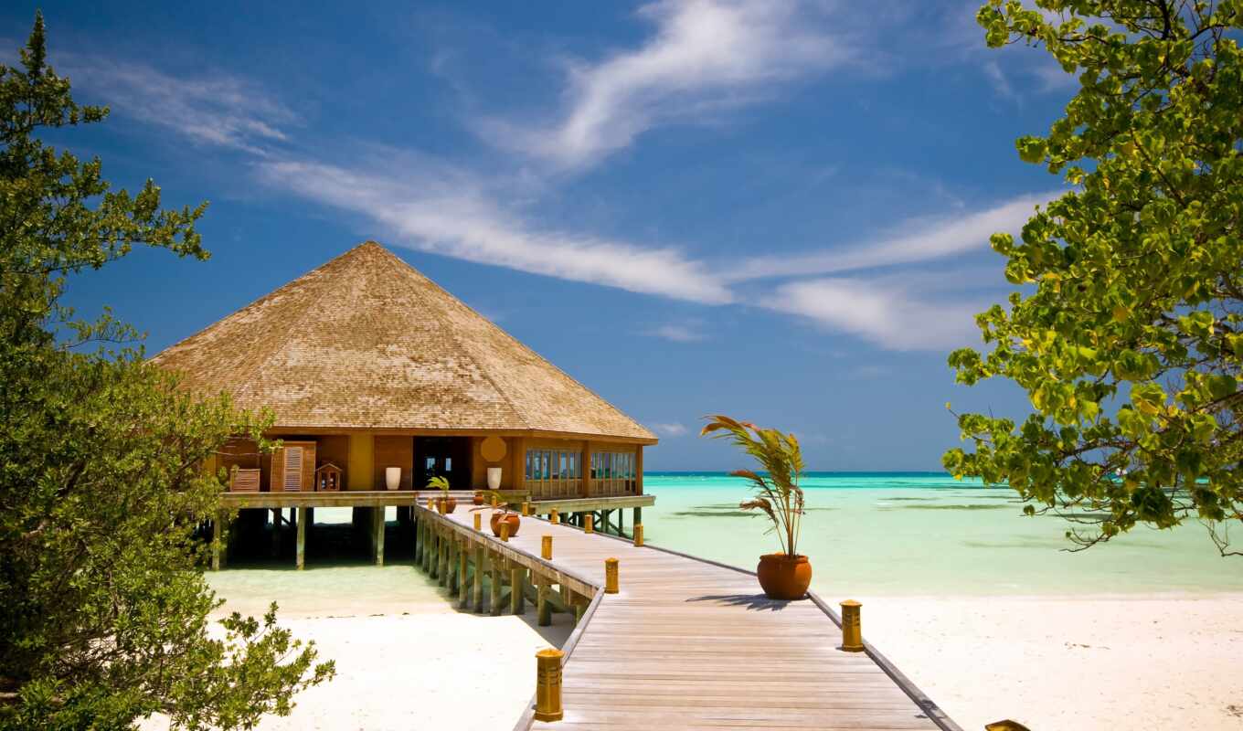 house, пляж, море, resort, ocean, отдых, palm, изба, бунгало, starve