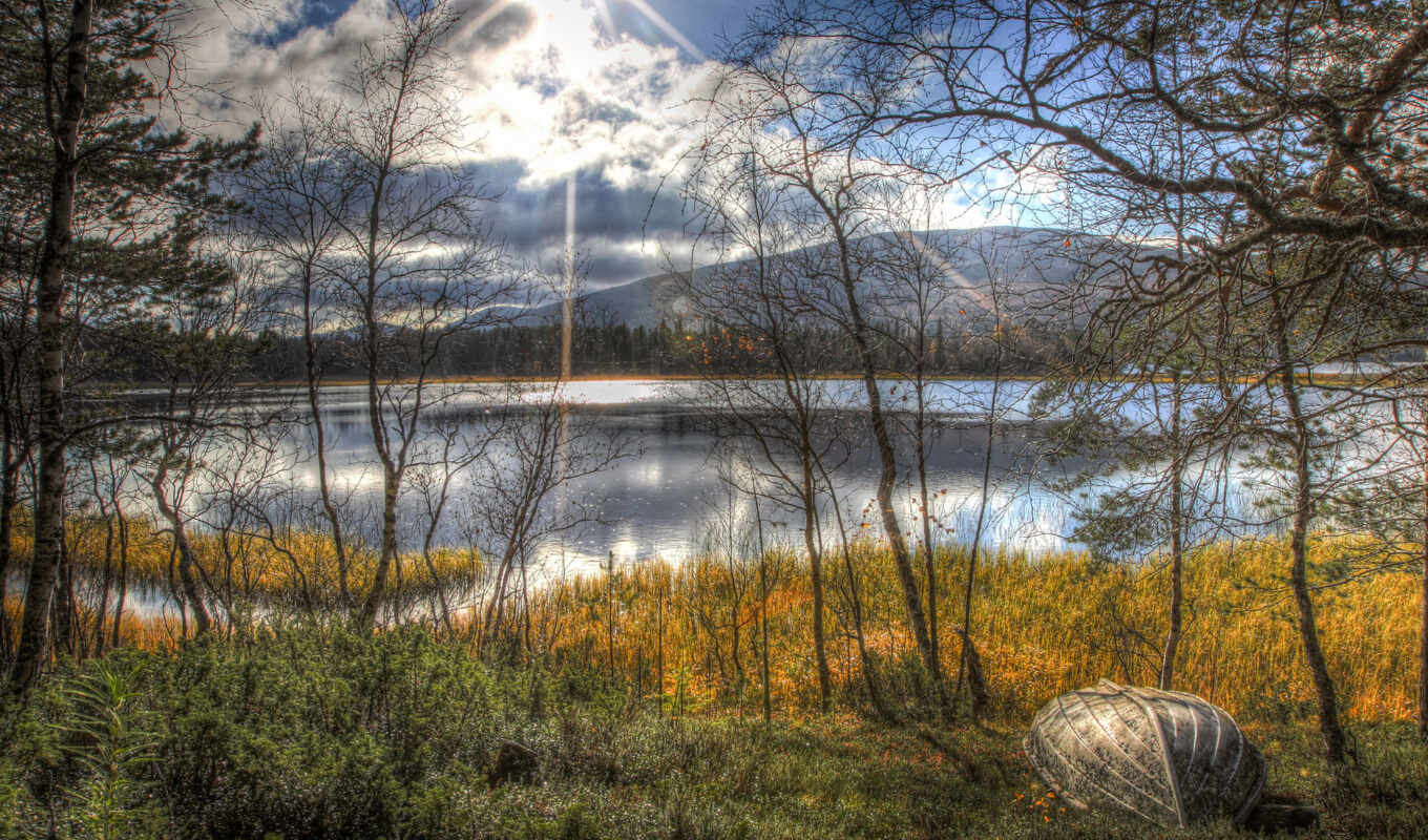 озеро, sun, landscape, осень, листва, trees, туман, лодка