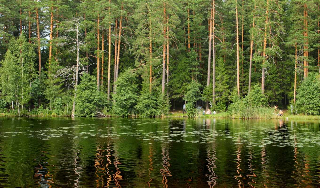 озеро, природа, россия, петербург