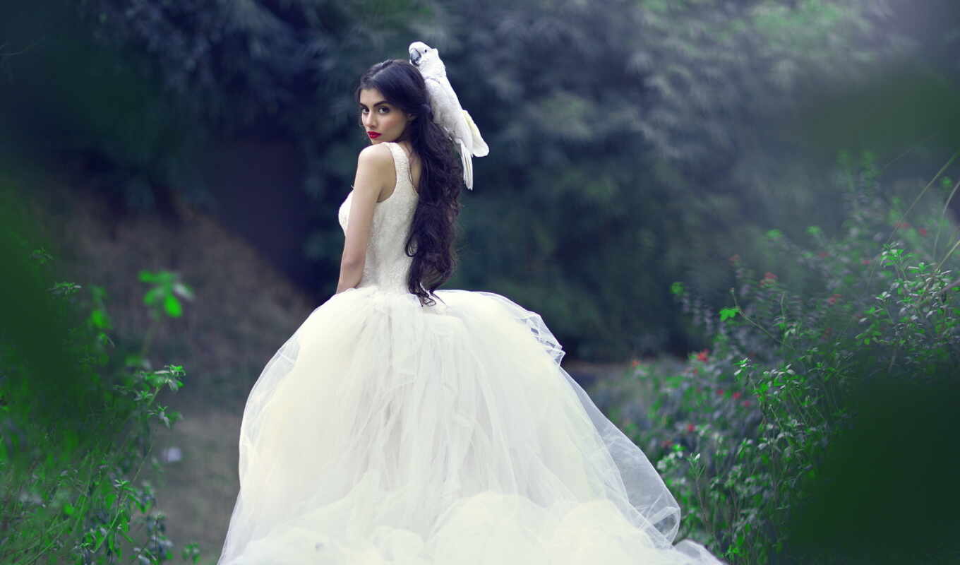 white, платье, свадебный