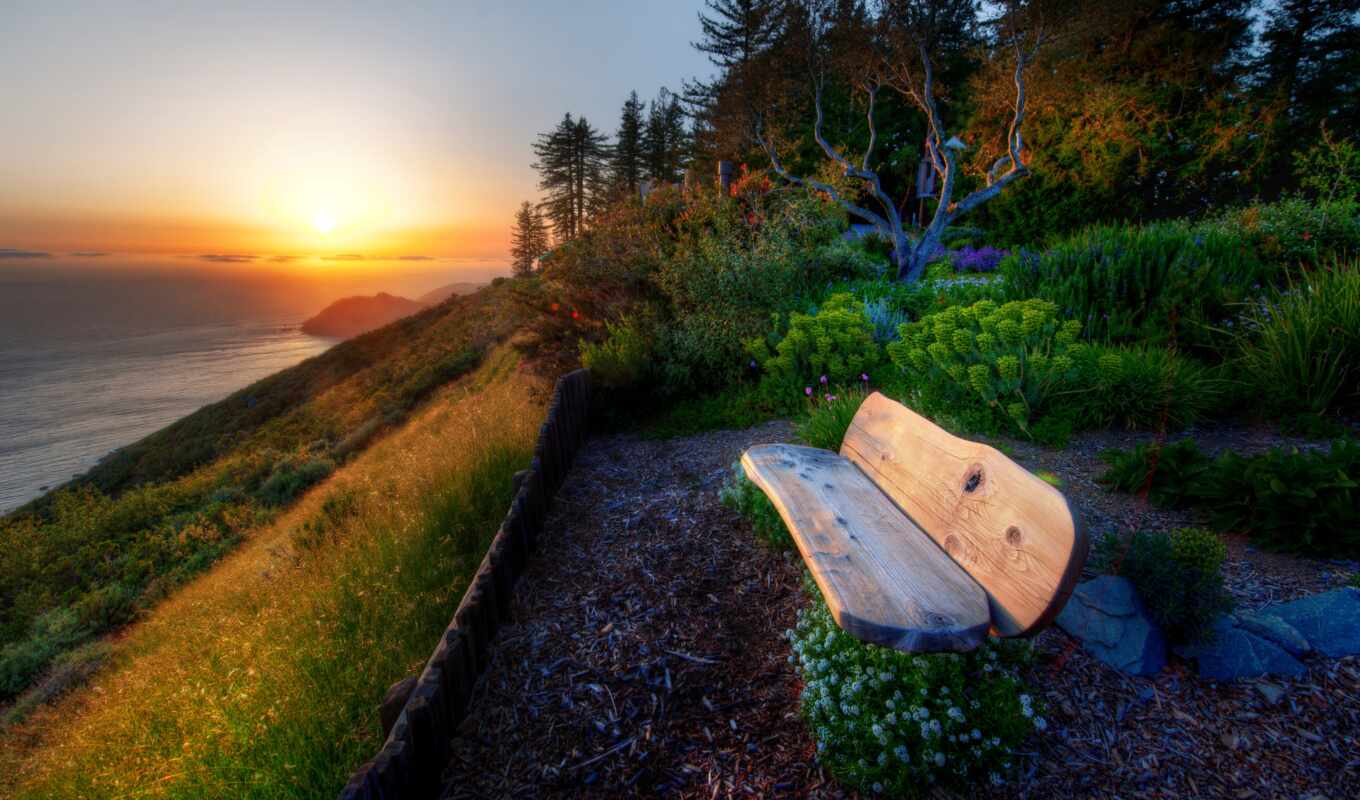 nature, sunset, bench