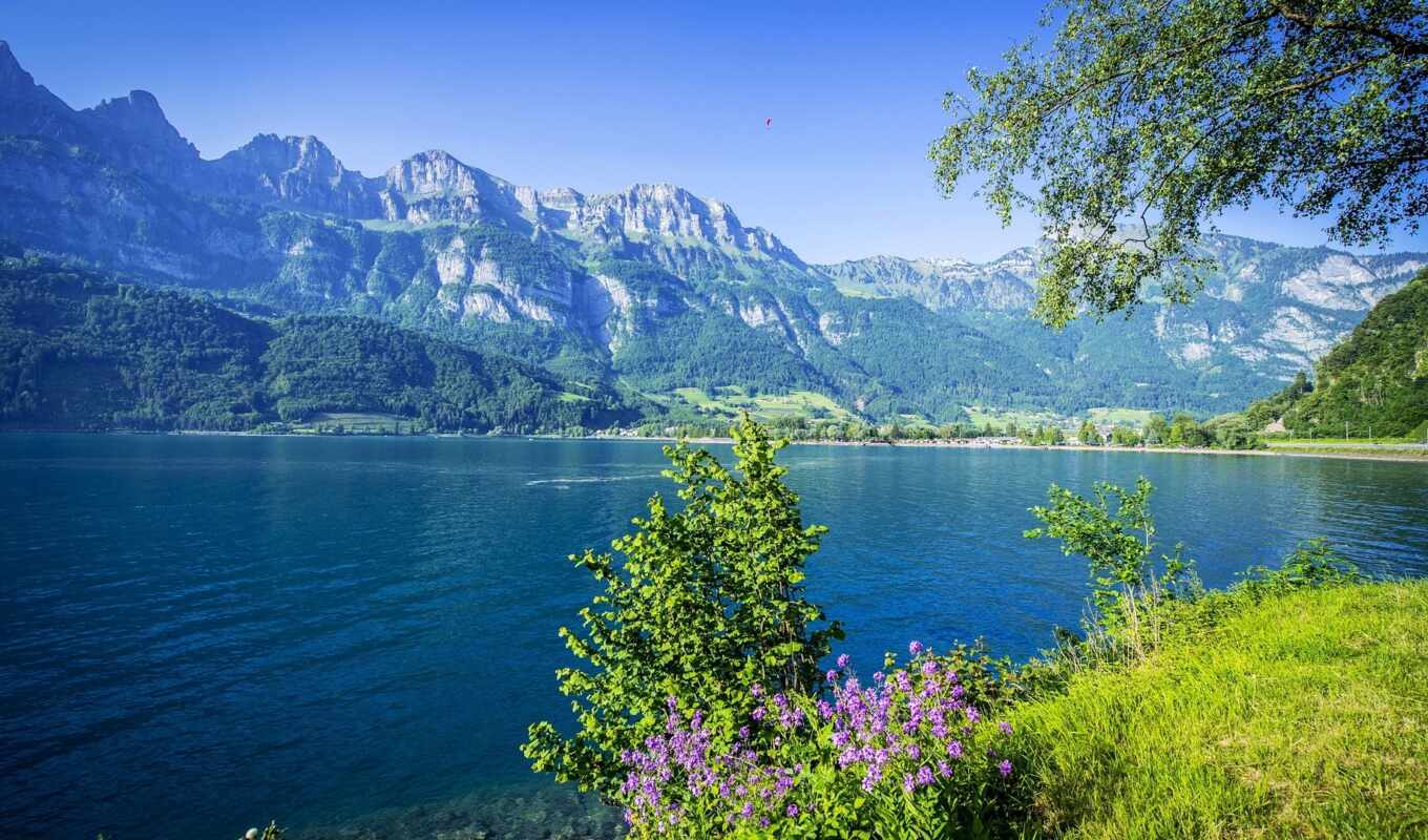 lake, nature, flowers, forest, mountain, swiss, river, Switzerland, walensee