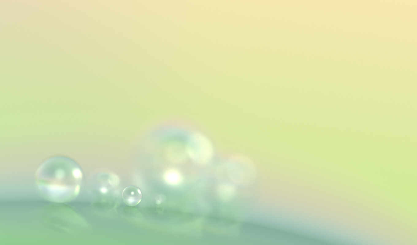 drop, dew, beautiful