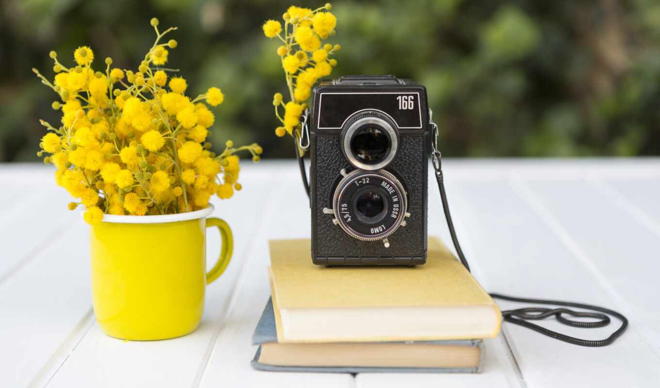 photo camera, flowers, book