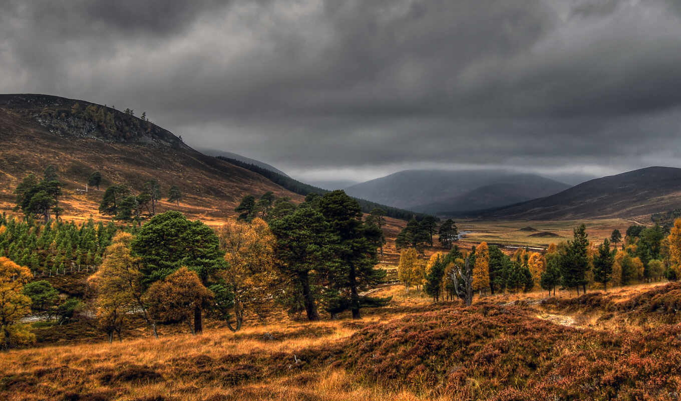 mountains, nature, trees, wallpapers, wallpaper, wallpaper, hd, mobile, picture, forest, landscape, contact, hq, blog, share, autumn, about, choose, tools, with the button, right, mice, create, less, terms, mountains, upload, terrain, mixed, simply, not, mevcut, careers, scotland, cairngorms, assistance