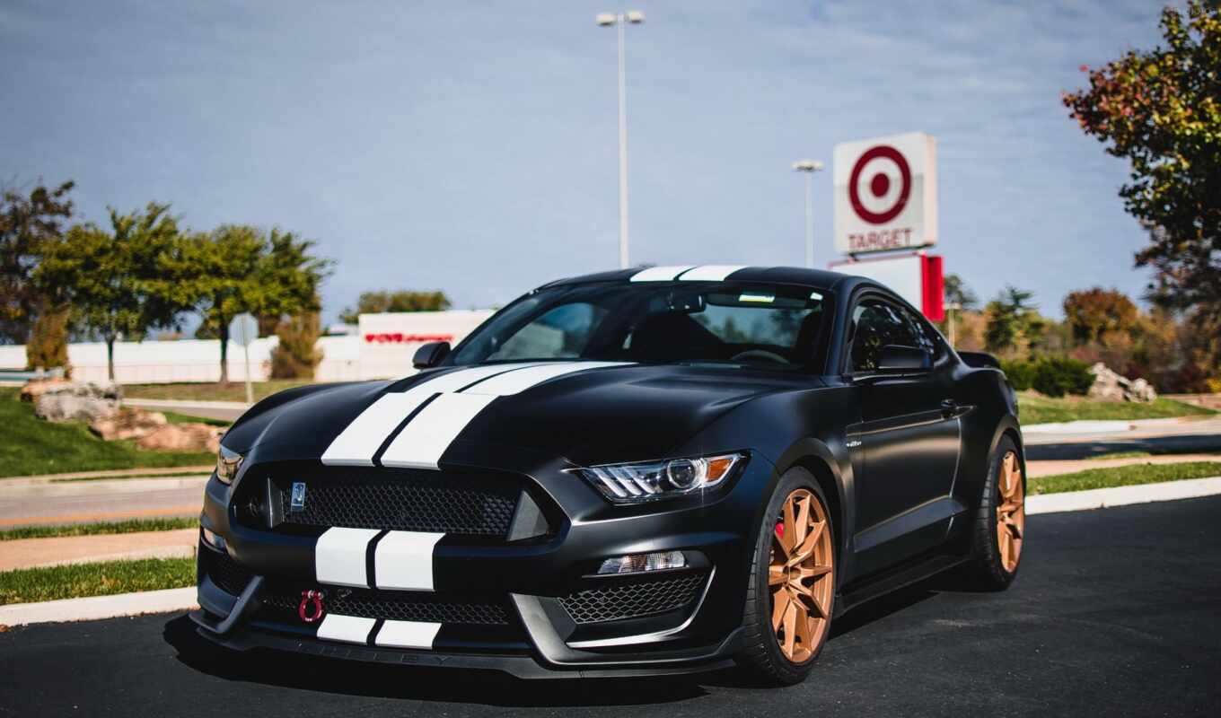 mustang, shelby