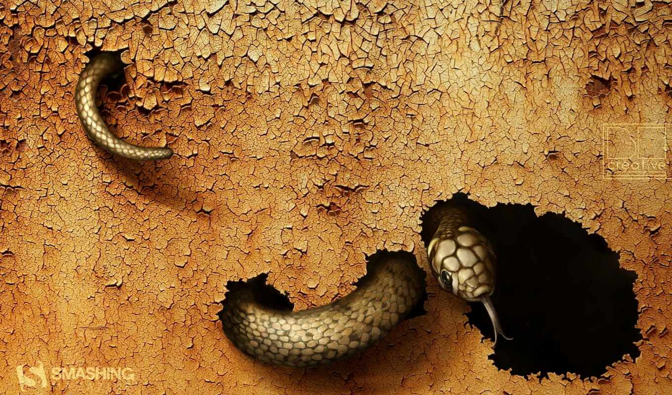 snake, dangerous