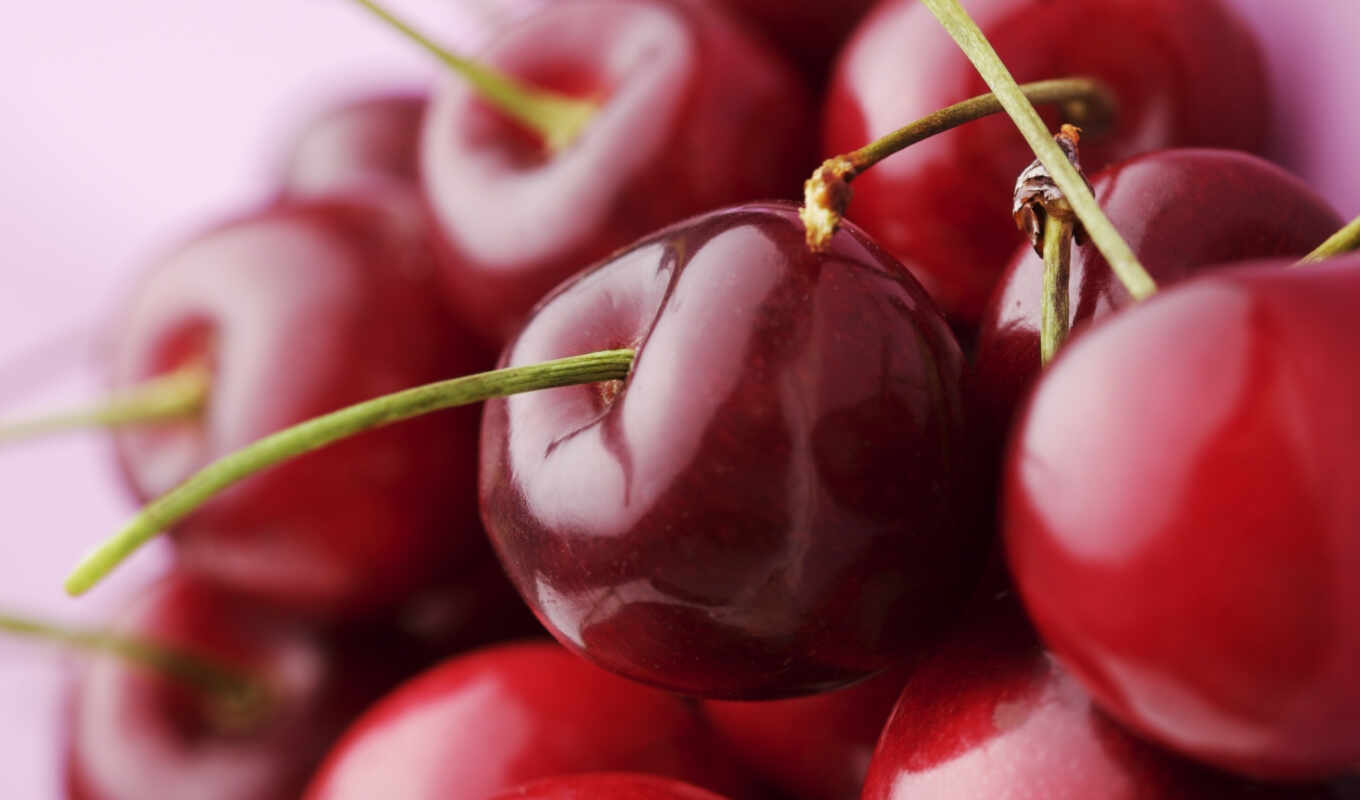 flowers, android, macro, beautiful, cherry, section, juicy, berry, ripe, berries