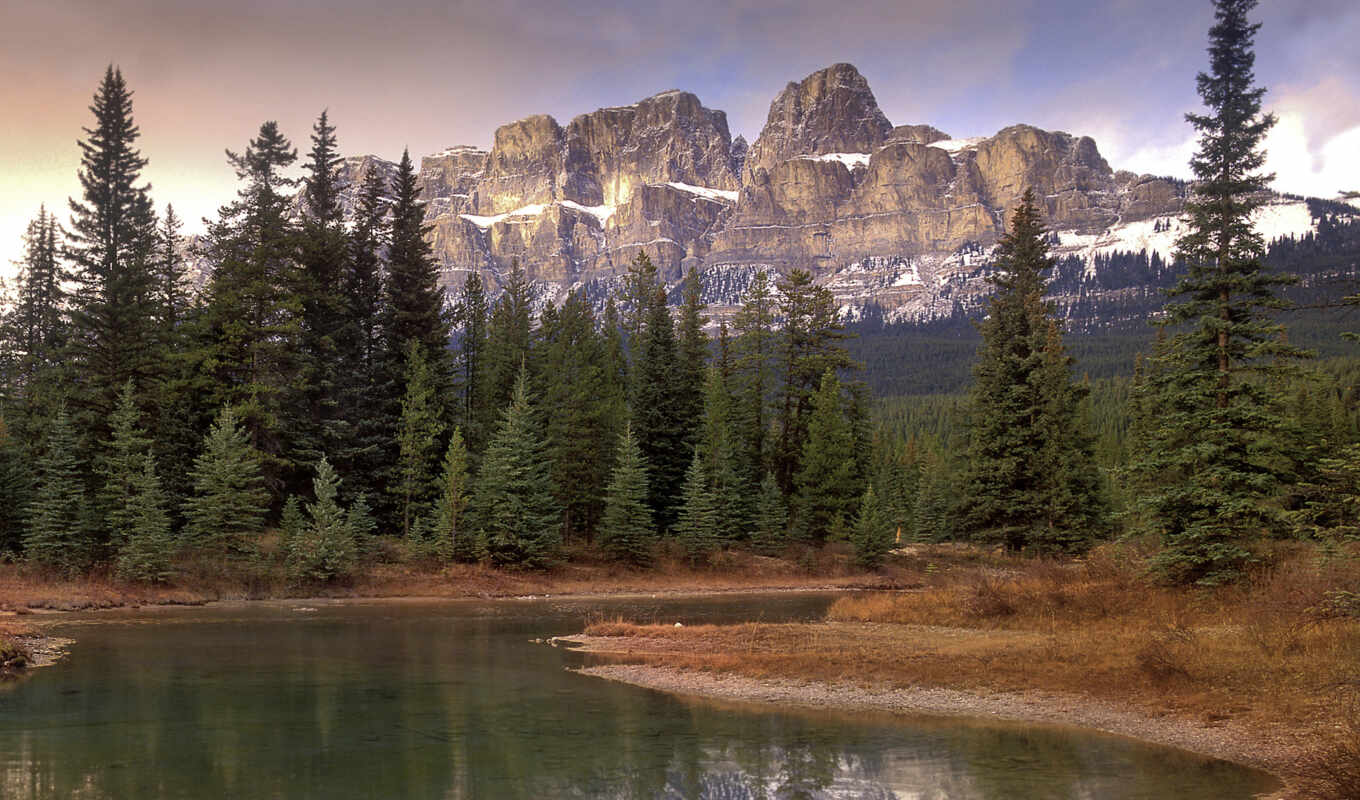 picture, forest, taiga, of, banff, forest, boreal, reference