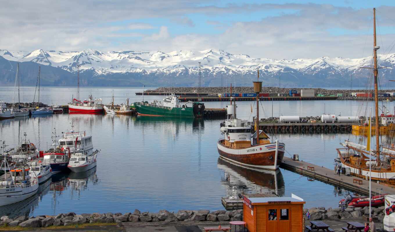 city, source, news, iceland, port, expert, to tell, economy, whether, icelandic