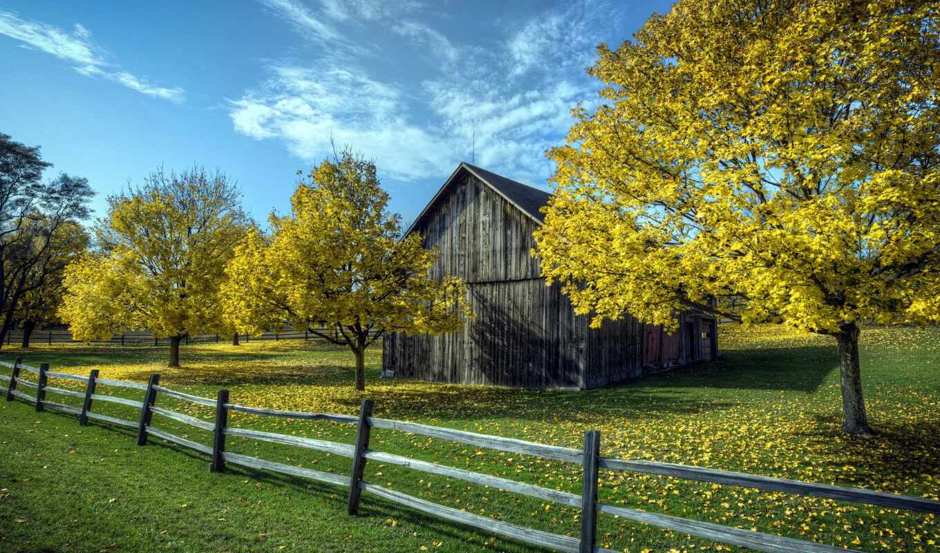 house, background, tree, country, wood, barn, countryside