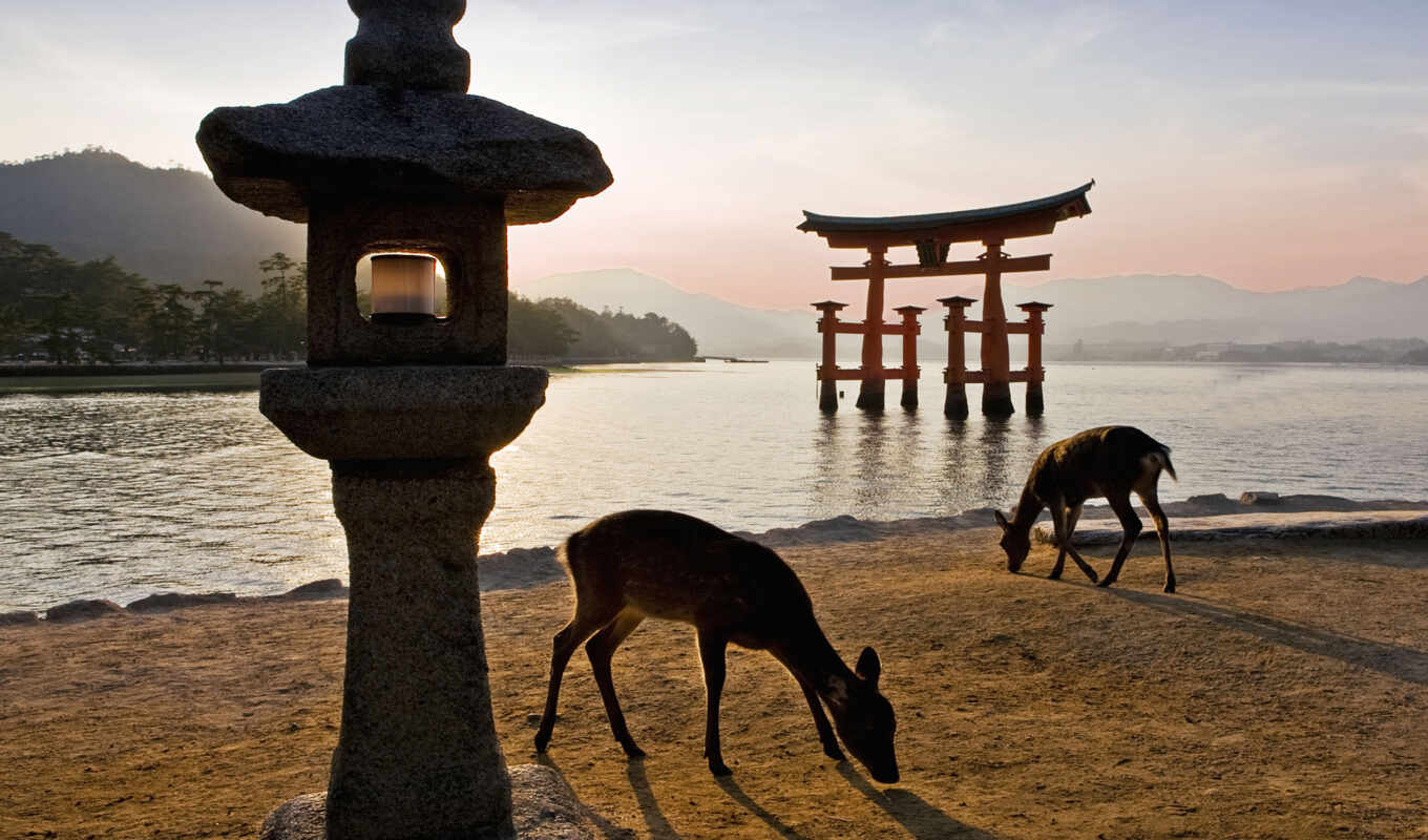 island, stock, gate, Japan, torria, miyajima, itsukushima