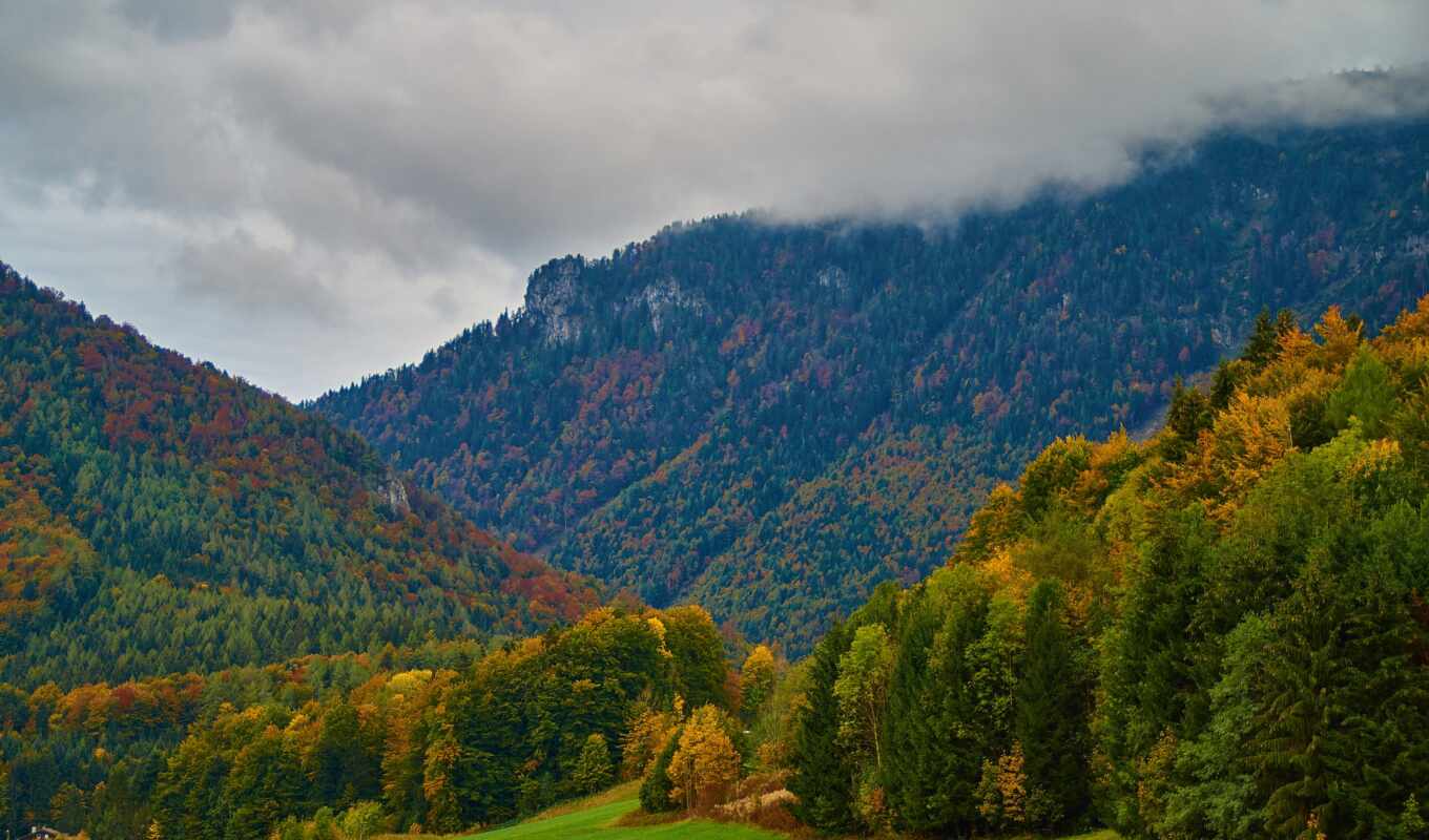 фон, лес, германия, осень, inzell