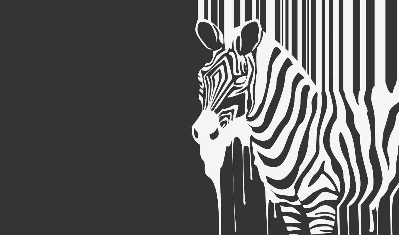 фон, zebra