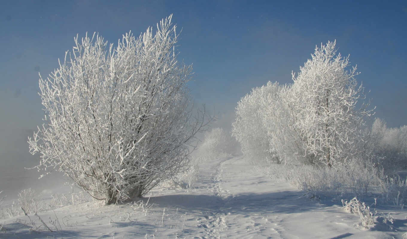 photo, snow, winter, images, human, alcatel, trails, footprint