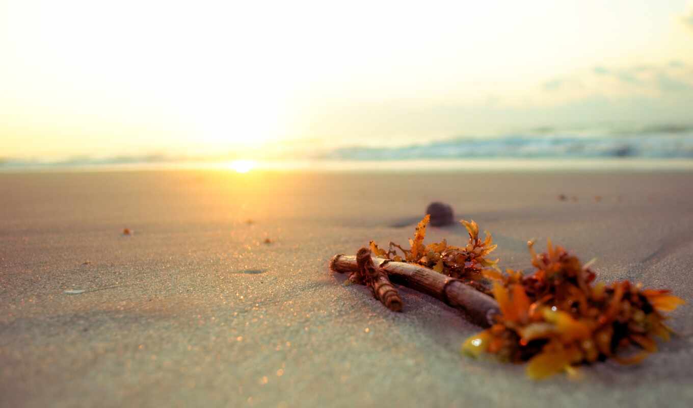 природа, summer, sun, water, пляж, море, песок, побережье, makryi