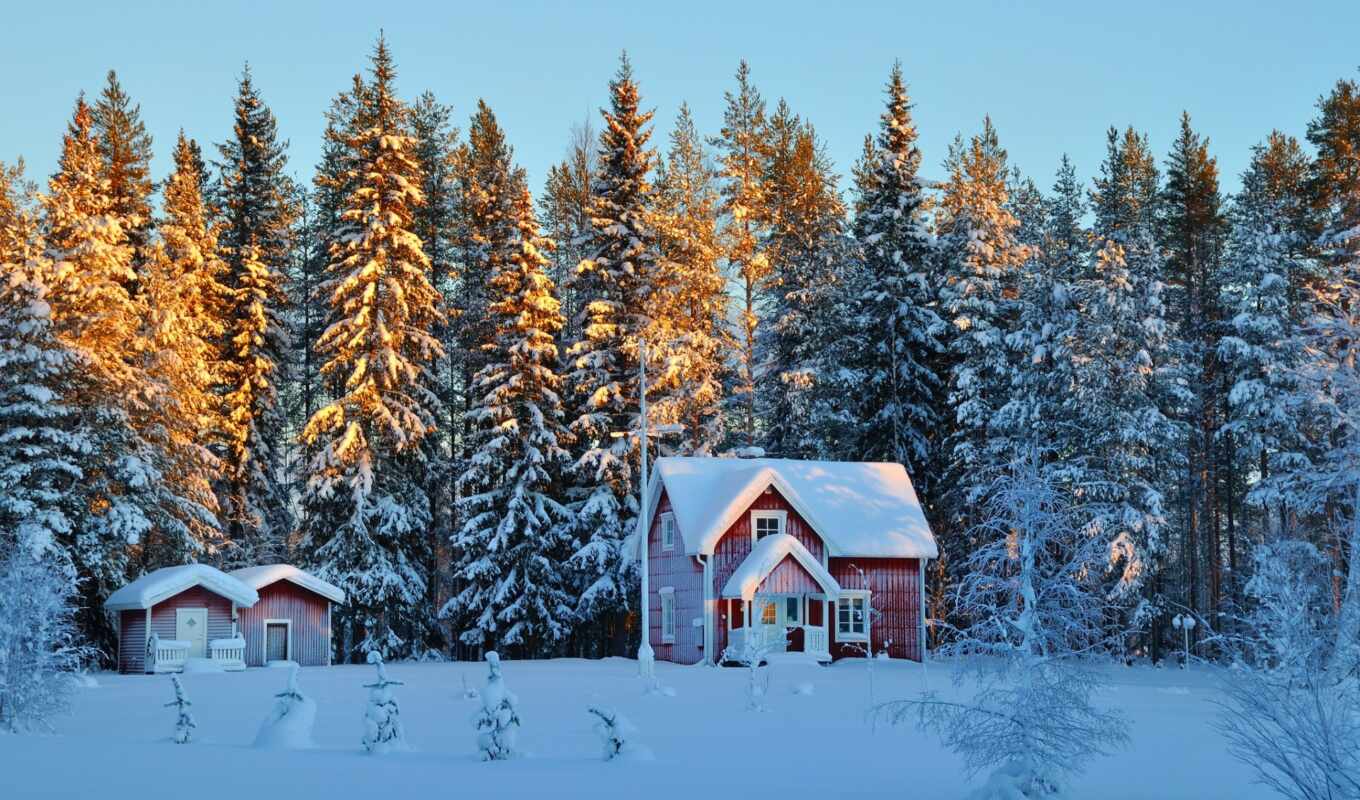home, winter, forest, lodge, lawn