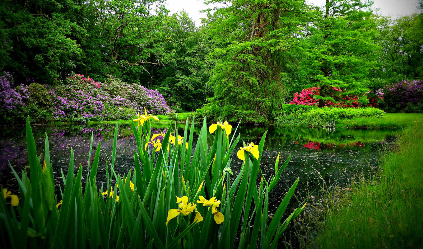 background, garden, flowers, spring, park, trees