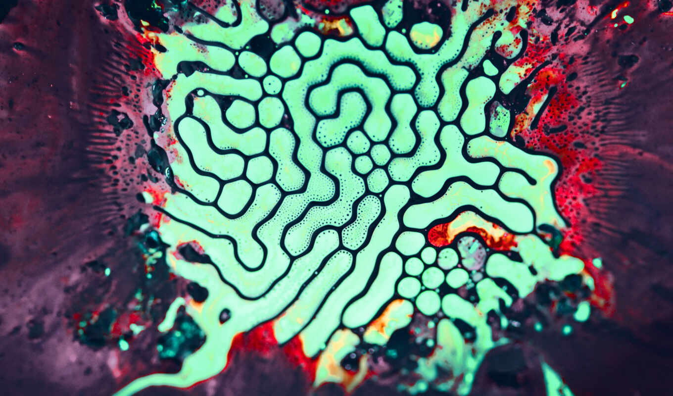photo, art, resolution, abstract, geometric, video game, microscopic, bacterium