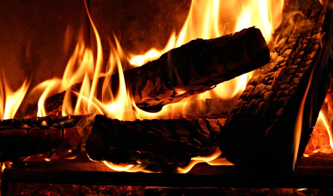 tree, fire, warm, firewood, kostryi