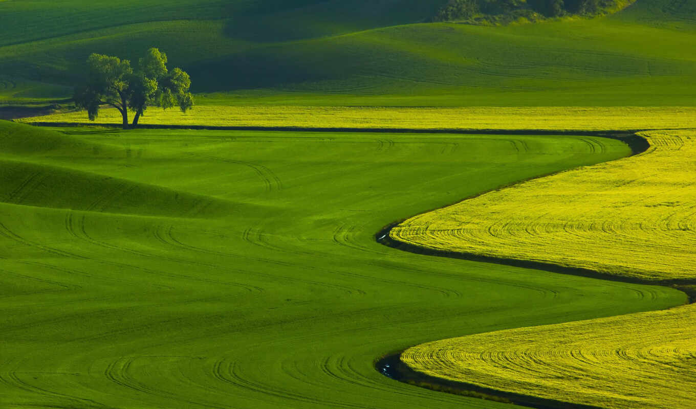 summer, зелёный, поле, landscape, яndex, card, line, color, красивый, оттенок