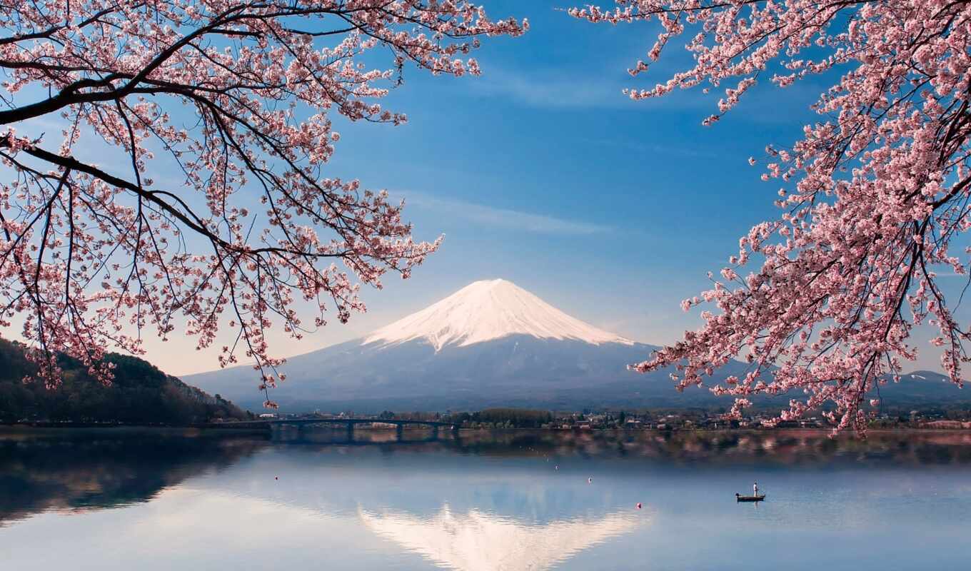 lake, flowers, water, mountain, japanese, spring, presentation, a boat, sakura, fudziyamoi, fudzha
