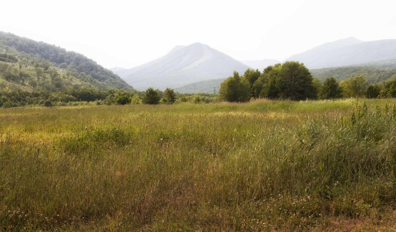nature, picture, at home, grass, russian, landscape, trees, the river, mountains, margin